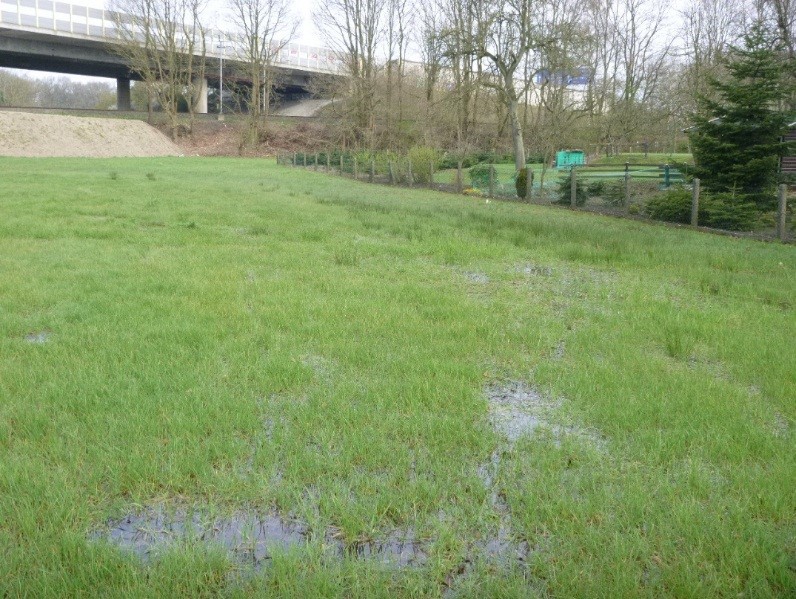 Staunasse Böden unter Grünlandnutzung an der Autobahnbrücke über die Niederung der Düte (IFUA-Projekt-GmbH, LM, 14.04.2015) 